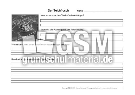 Arbeitsblatt-Teichfrosch-2.pdf